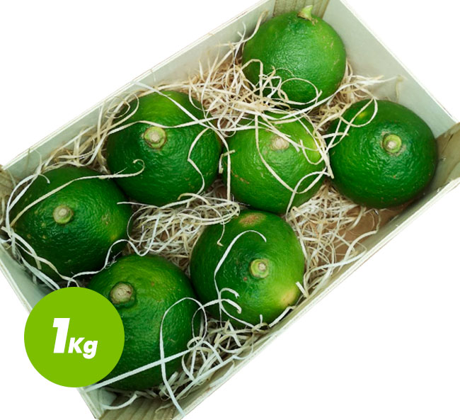 agrumes espagnols