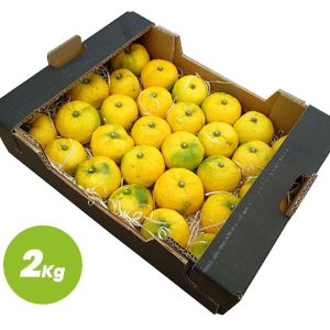 Yuzu Jaune